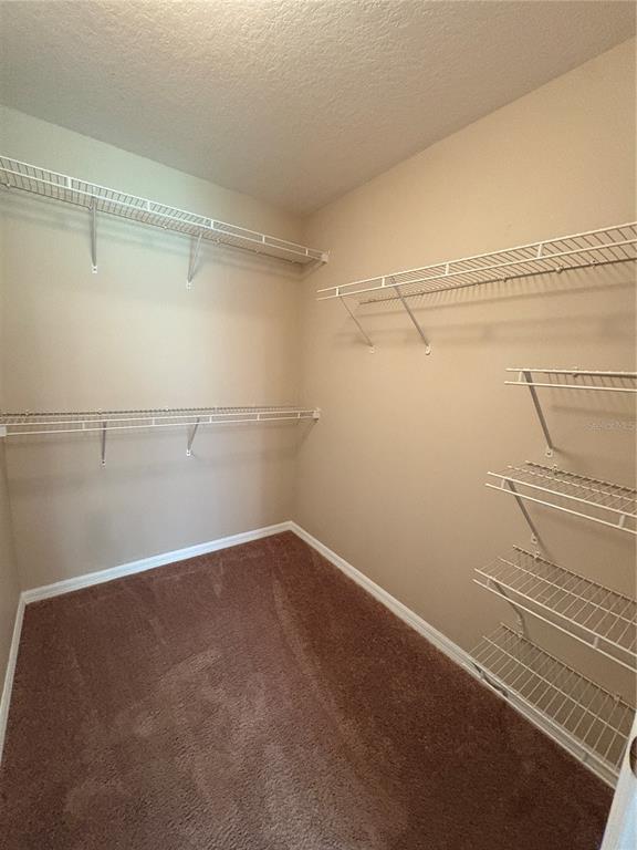 Building Photo - 13029 Bridleford Dr