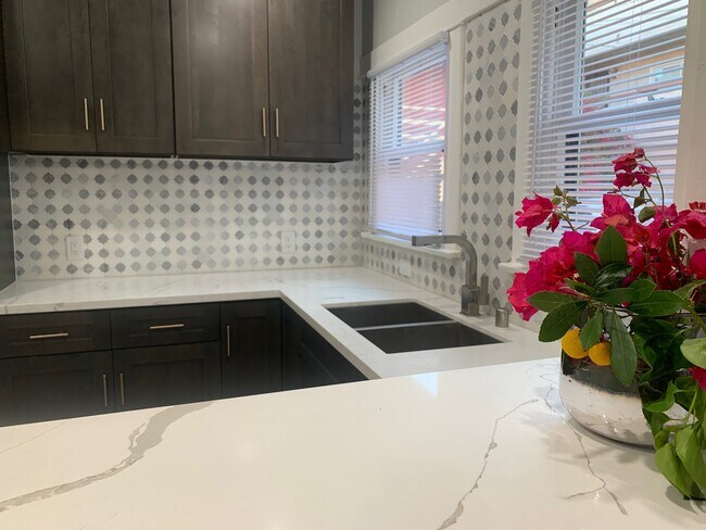 kitchen, marble counter - 1426 E Florida St