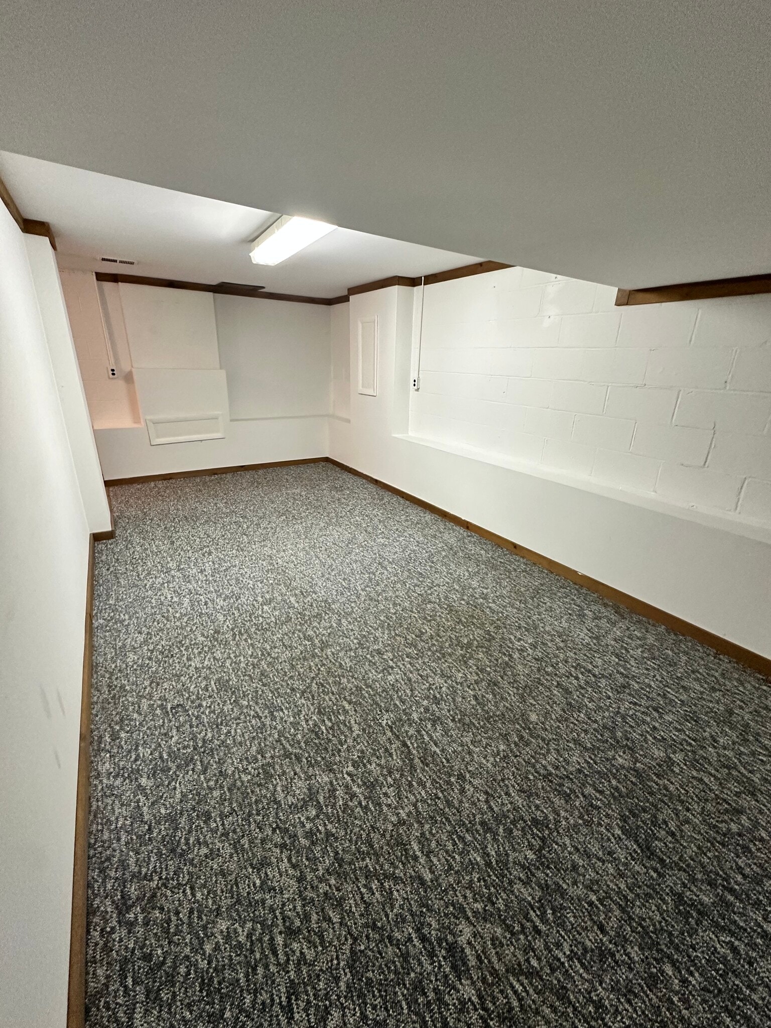 Finished basement - 135 E Pike St