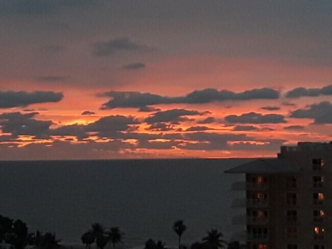 Building Photo - 1200 Hibiscus Ave