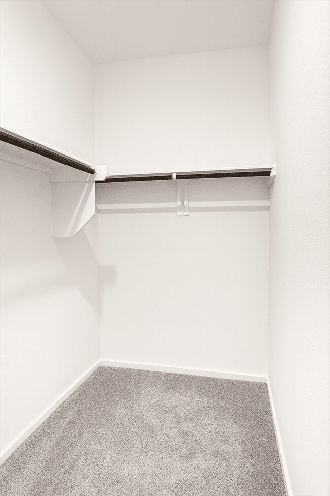 Building Photo - 26231 Arrowleaf Dr