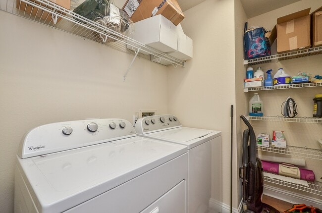 Building Photo - 12022 Mallard Stream Ct