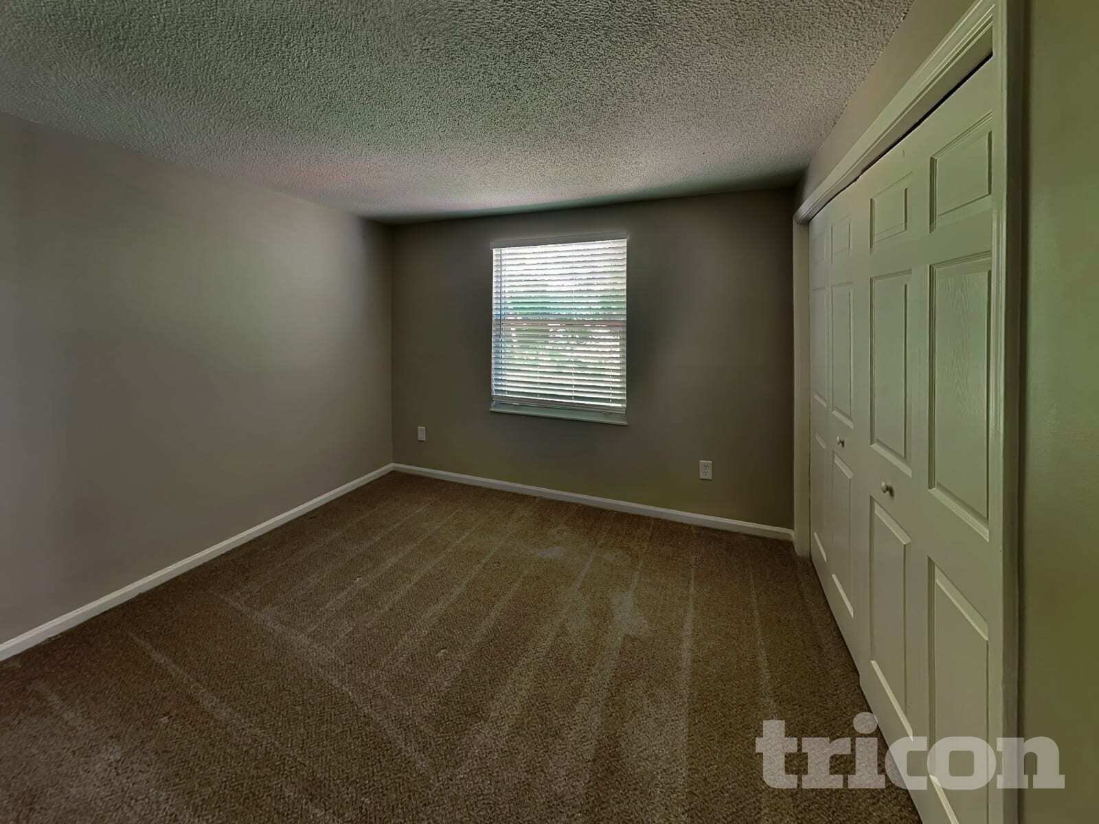 Building Photo - 509 Glen Ellyn Ct