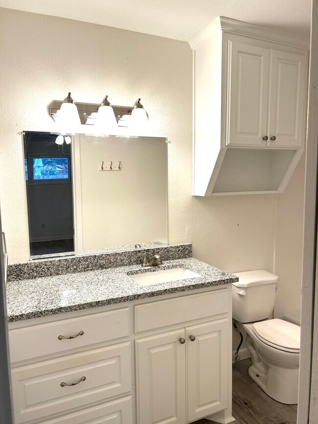 Building Photo - Beautifully Remodeled Home in Mountainview Area