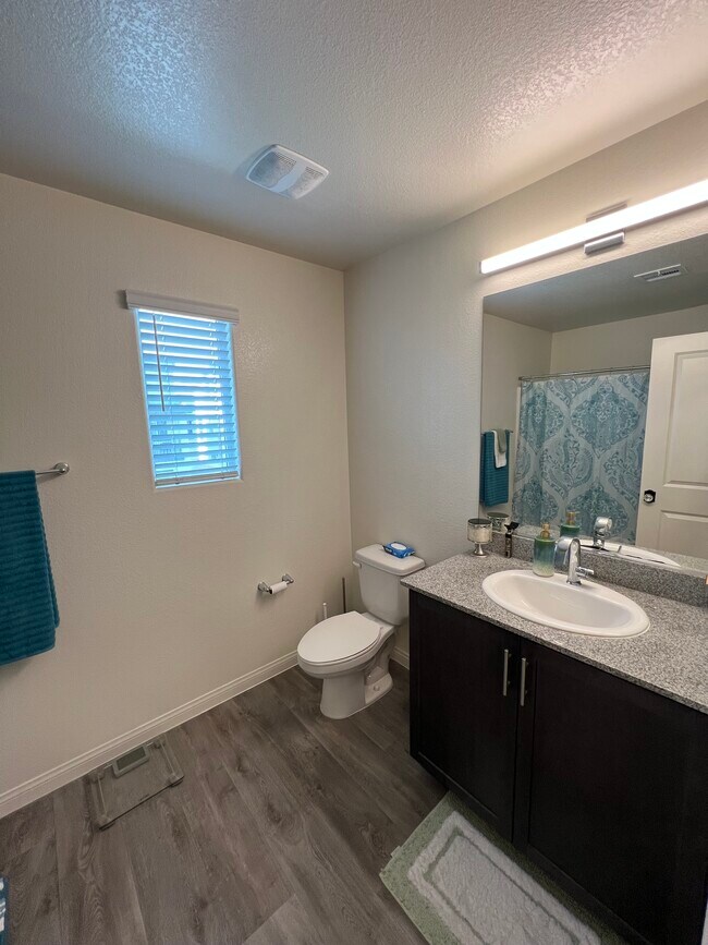 Building Photo - 2658 Blizzard Blue Ct