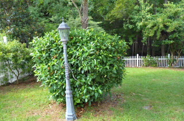 Building Photo - Fully Renovated 2 Bedroom/ 2.5 Bathroom Townhome - The Farm at Buckwalter