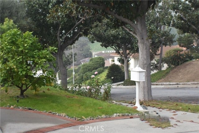 Building Photo - 431 La Terraza St