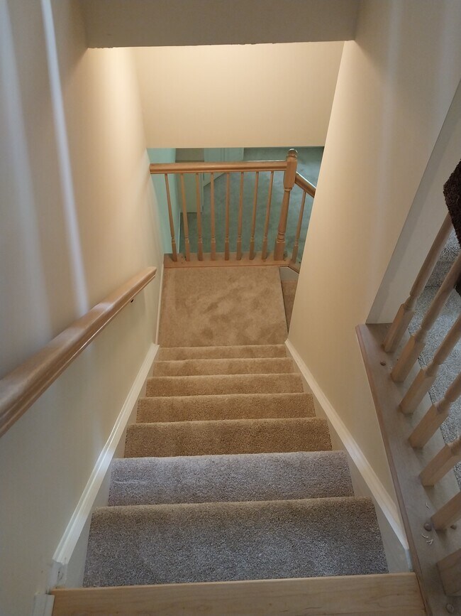 Building Photo - 3912 Vineyard Green Dr