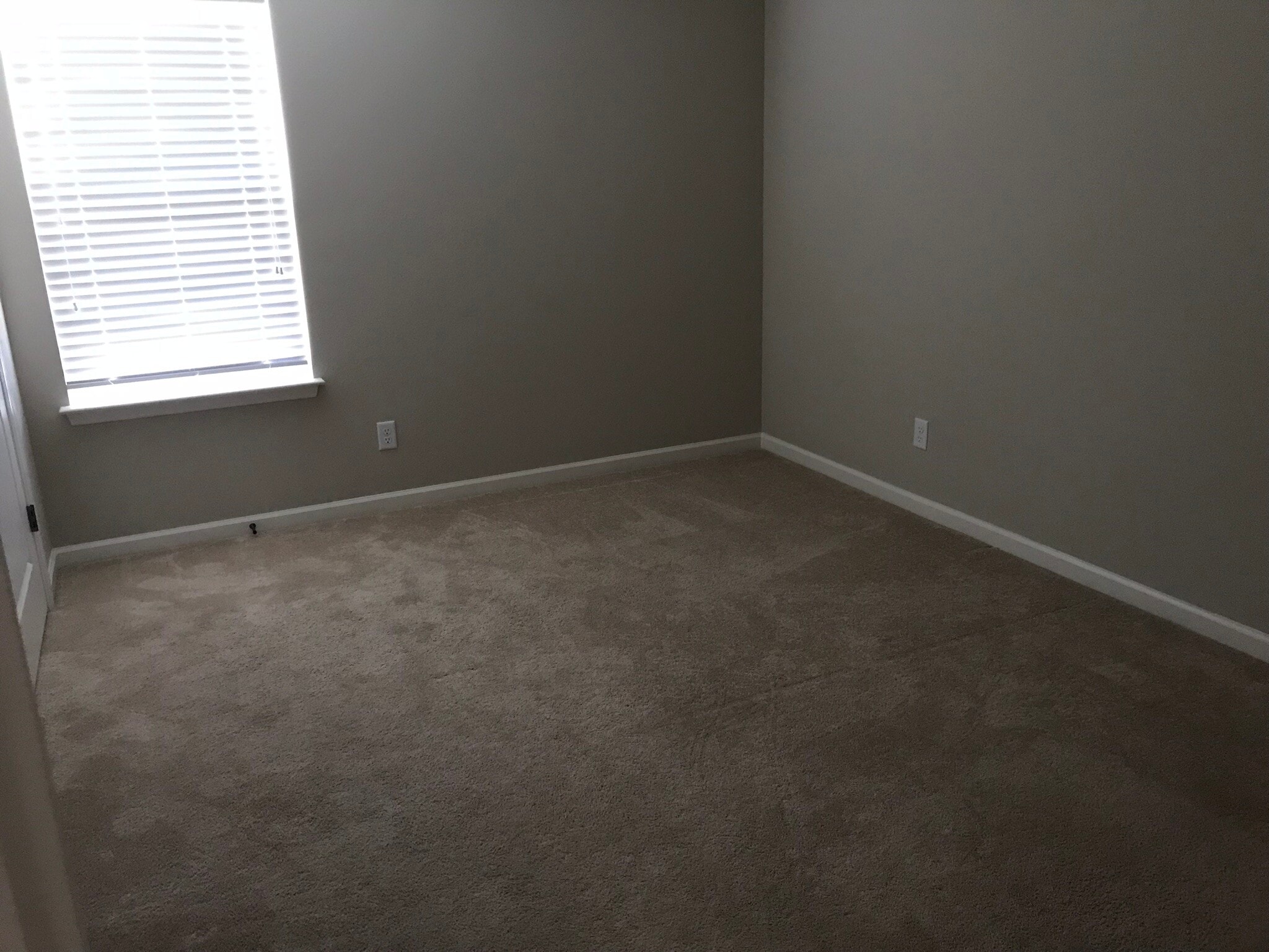 Bedroom 2 - 7506 Hampstead Hall Dr