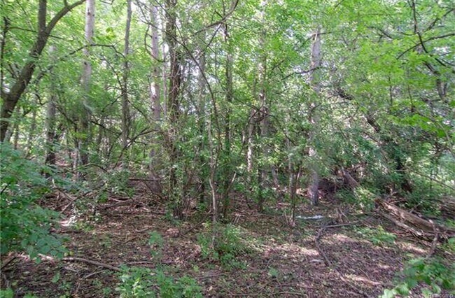 Building Photo - 3275 Chickering Ln
