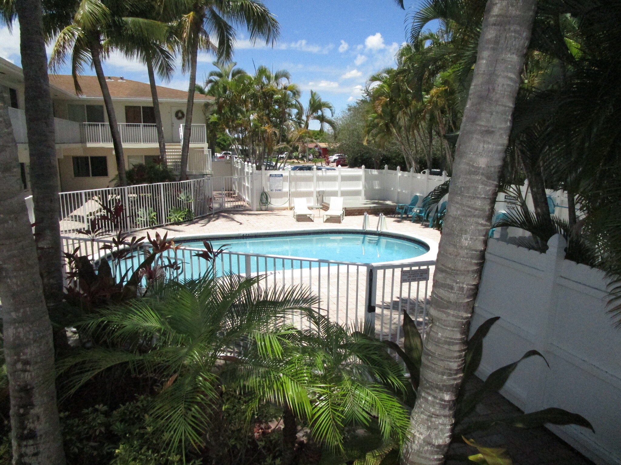 Pool - 1872 NE 46th St