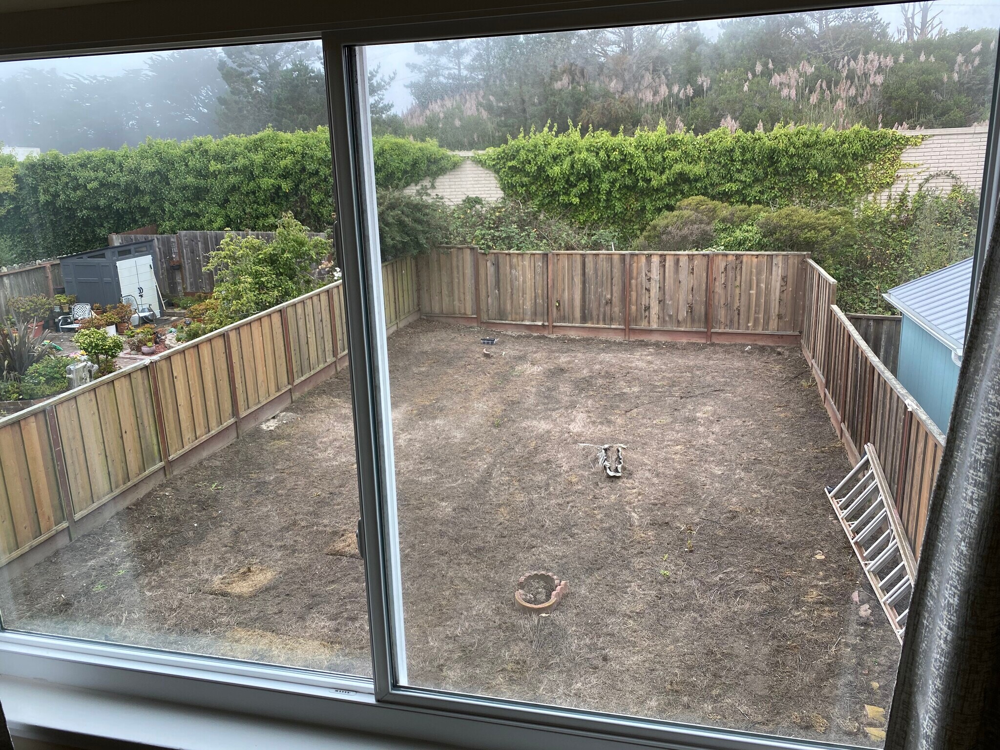 Back yard - 258 Canterbury Ave
