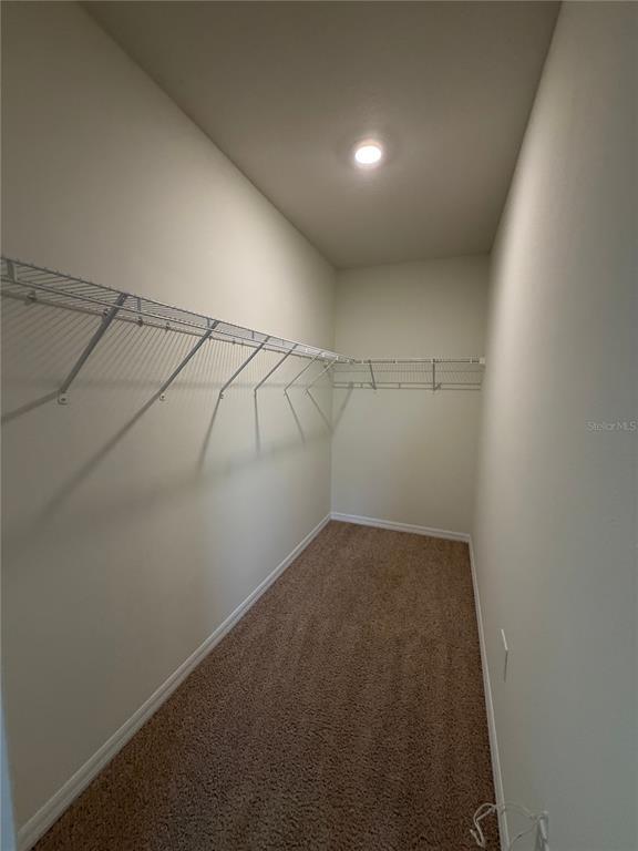 Building Photo - 1064 Andean Ln