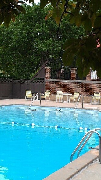 Building Photo - 475 Plum Creek Dr