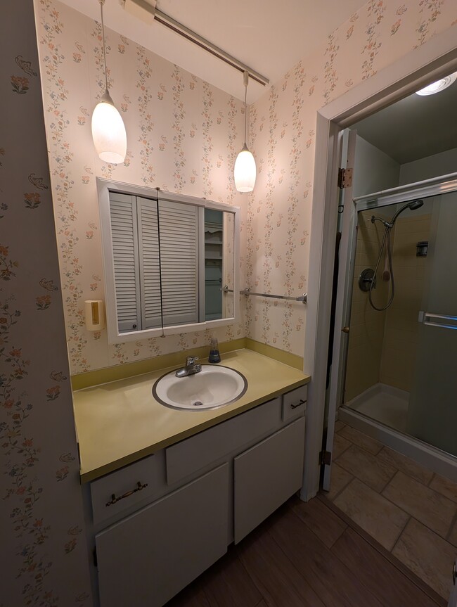 En-suite bathroom in primary bedroom - 1808 Indian Meadows Ln