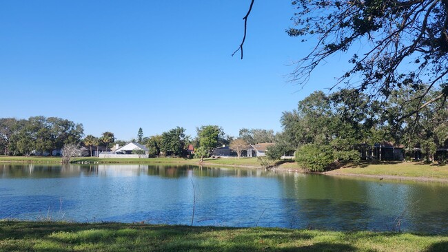 Building Photo - Lovely Lakefront Home in Sterling Ranch.