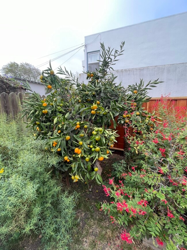 Building Photo - 3112 California St