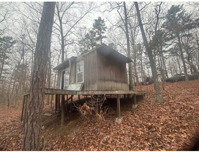 Building Photo - 13.2-Acres With Cabin! - $ 890 Month / $1500 Down