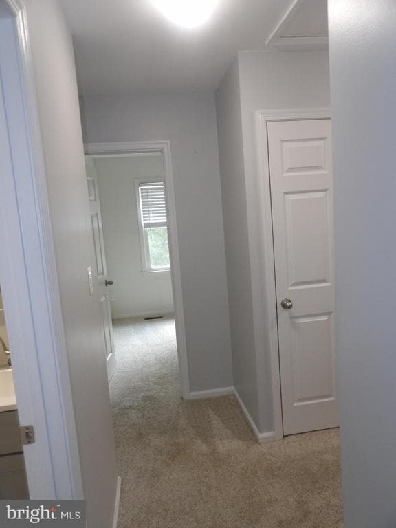 Building Photo - 413 Forest Ct