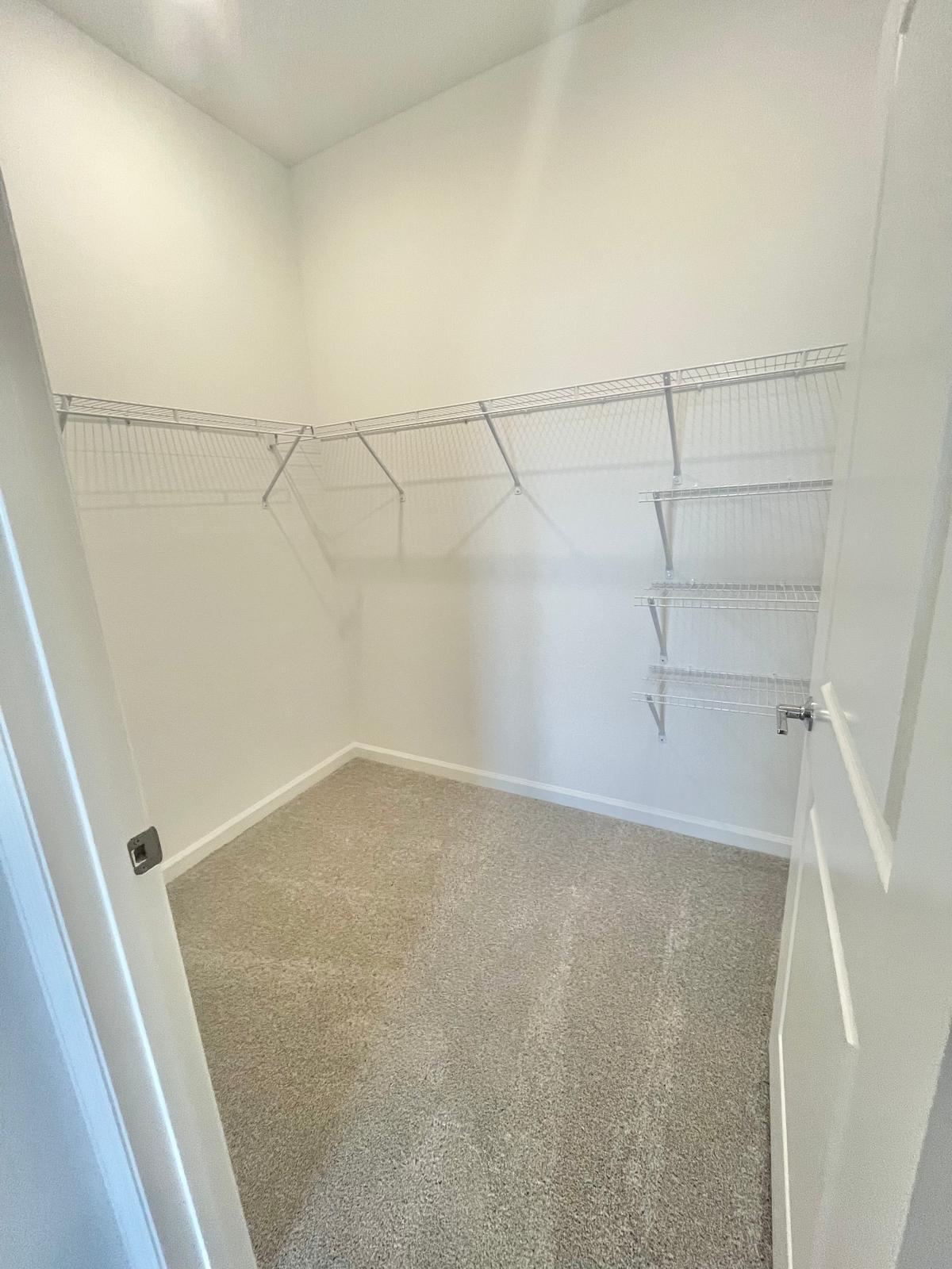 Building Photo - 4309 Curacao Pl