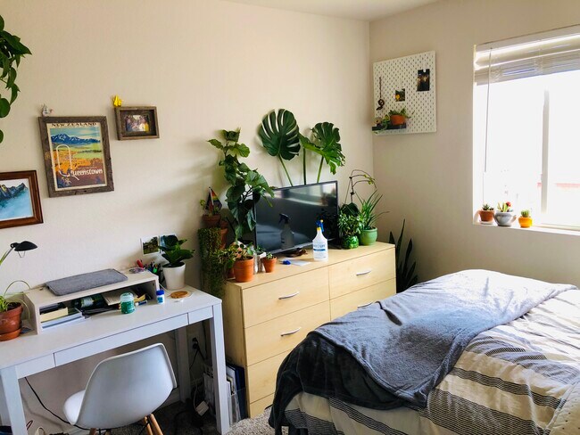 Bedroom 1 - 1173 Solitaire St