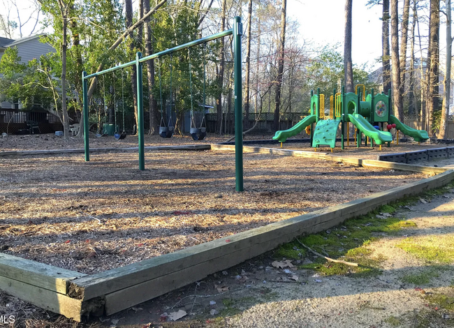 playground - 110 Sudbury Ln