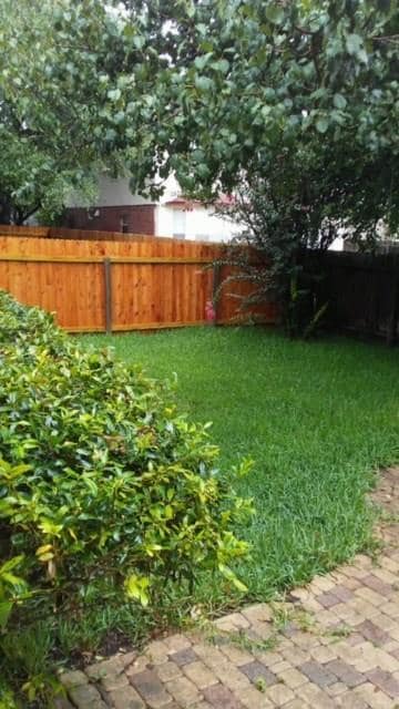 Building Photo - 2109 Lobelia Dr