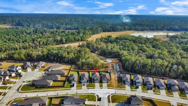 Building Photo - 19523 Manduca Dr