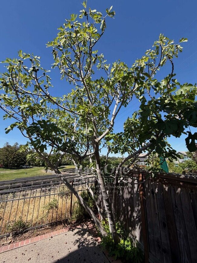 Building Photo - Updated Townhouse in Clayton Available for Lease now!