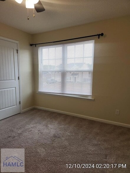 Building Photo - 73 Labrador Ln