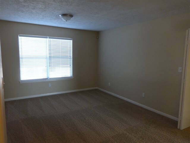 Building Photo - 9116 Dolphin Cir