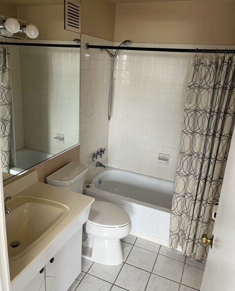 Guest Bathroom - 225 S Rohlwing Rd
