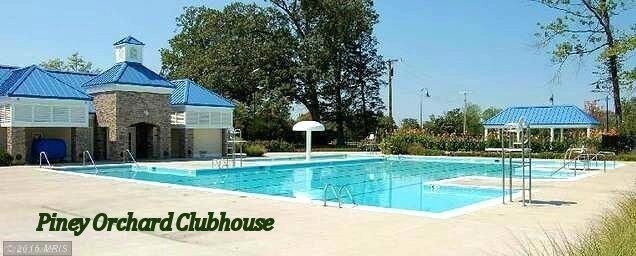 Building Photo - 8534 Pine Meadows Dr