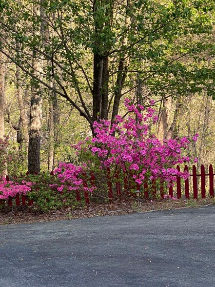 Building Photo - 173 Payne Hill Dr