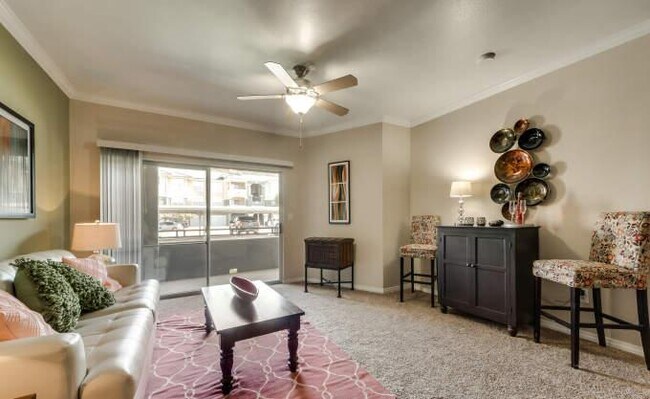 Primary Photo - 1 bedroom in Grand Prairie TX 75050