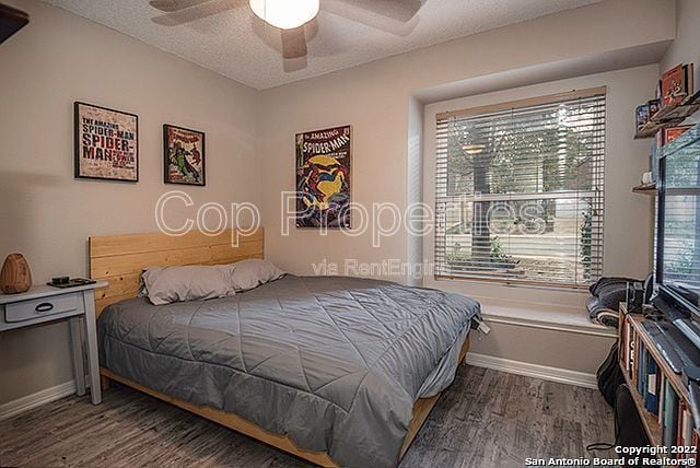 Building Photo - 16807 Cedar Tree Way