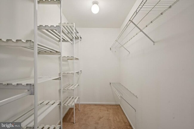 Building Photo - 505 Oliphant Ln