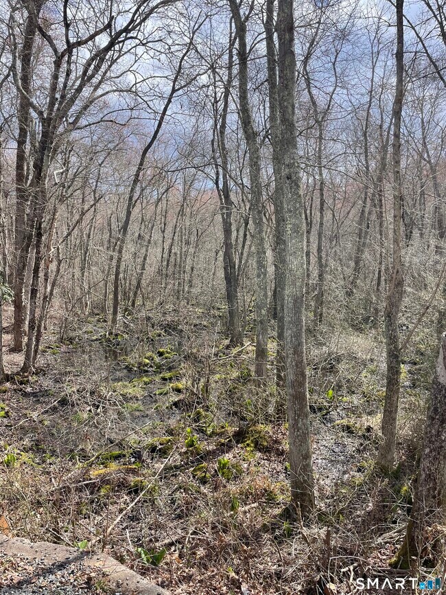 Building Photo - 34 Rossi Ave