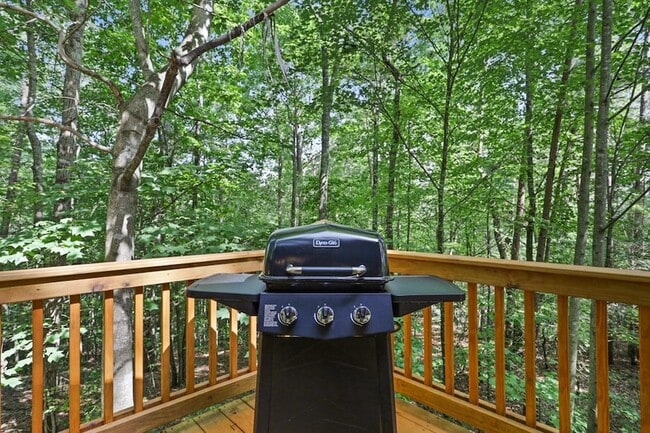 Building Photo - 166 Nantahala Pass Rd