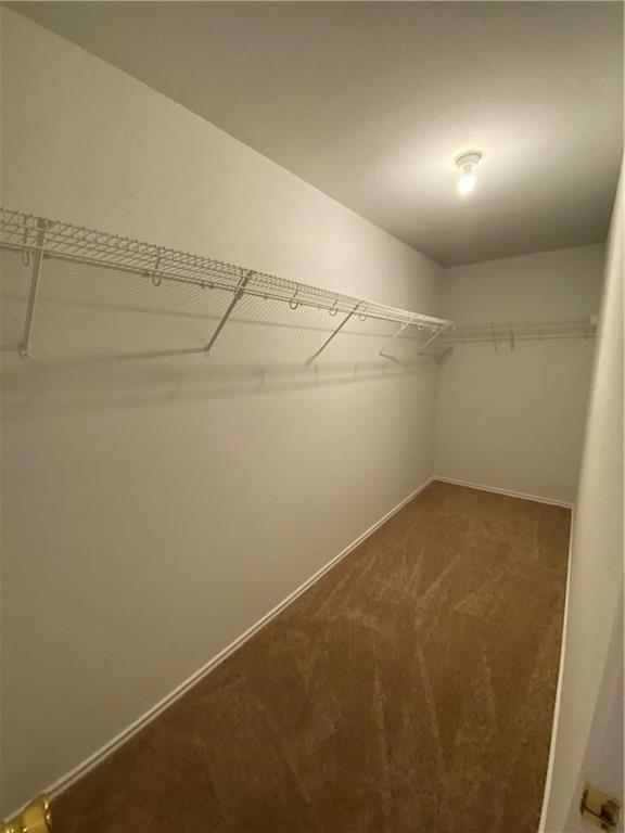 Building Photo - 11808 Plains Valley Dr