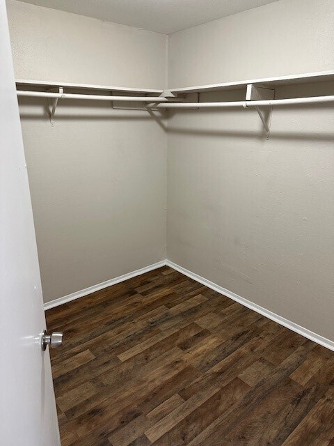 Building Photo - 2503 Autumn Springs Ln