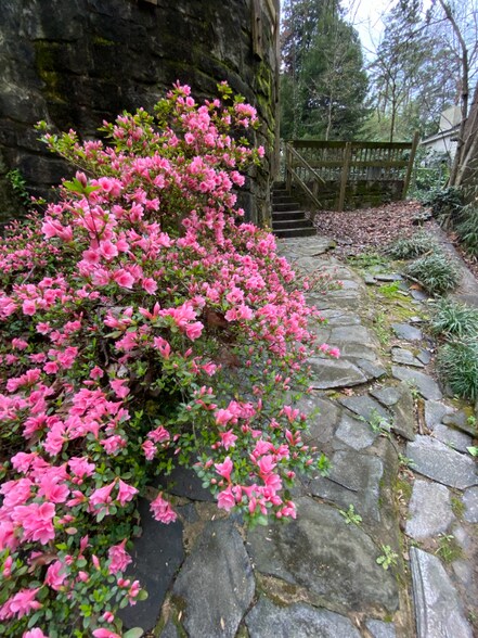 Building Photo - 2071-2073 E Roxboro Rd NE