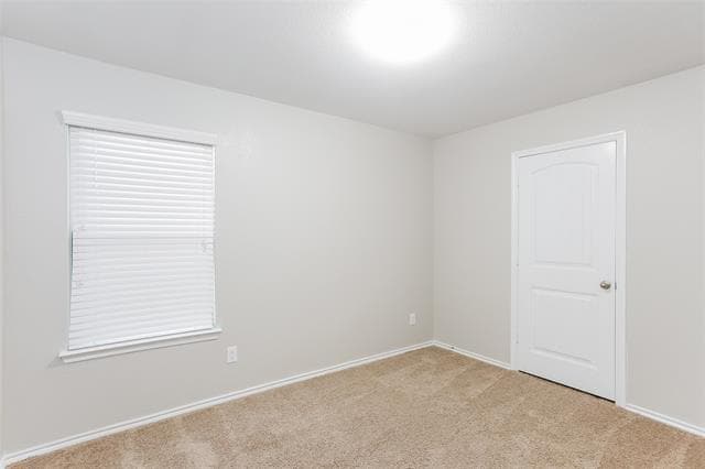 Building Photo - 1213 Basswood Ln