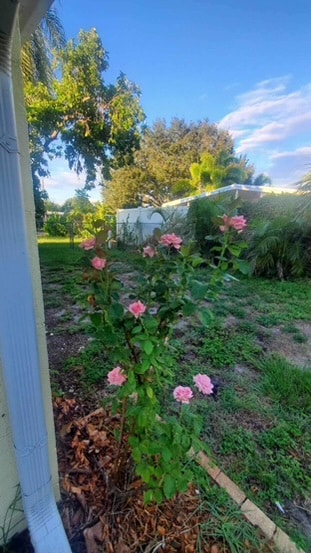 Building Photo - 2714 Grove St