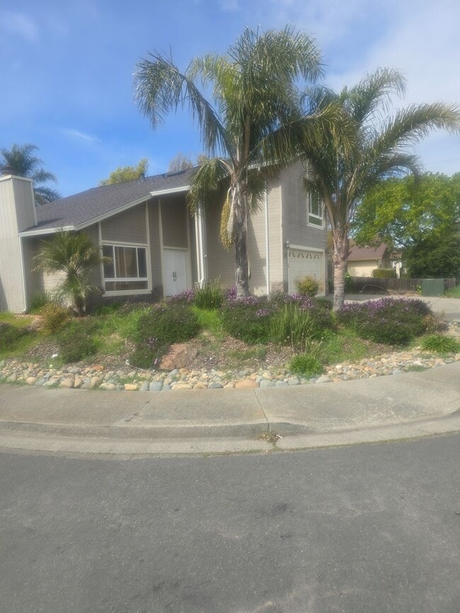 Building Photo - Rare Find! Corner Lot, RV Parking