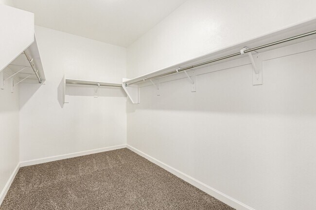 Building Photo - Brand New - Never Lived In 4 Bedroom / 2 B...