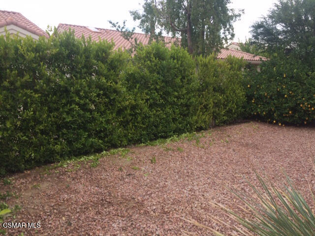 Building Photo - 78282 Yucca Blossom Dr