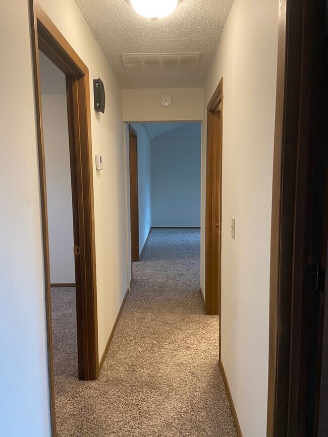 Building Photo - Like new, ranch home near Bass Pro, fully renovated interior,