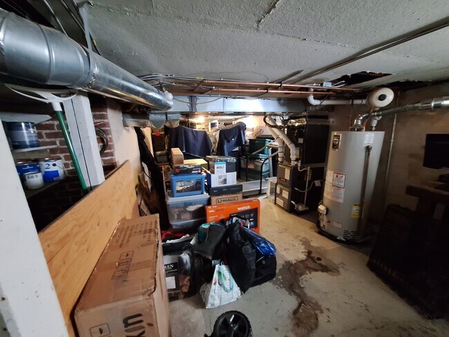 Other 1/2 of basement - 293 South Lafayette Street