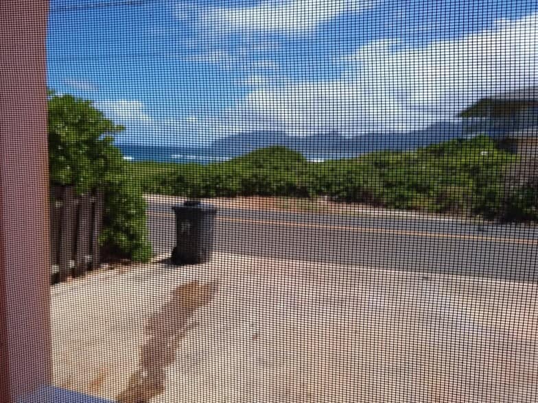 Building Photo - 55-53 Naupaka St